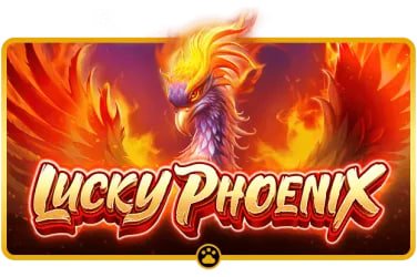 8k8 Philippines online gaming platform hero banner showing sports and casino categories